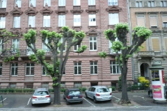 P1080451