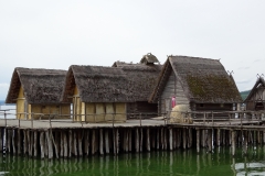 DSC05508