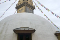 P1030618