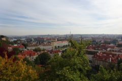 DSC05628