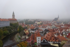 DSC05655