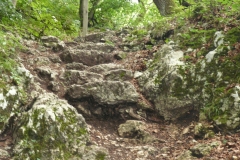P1080685