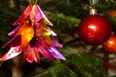 baum6